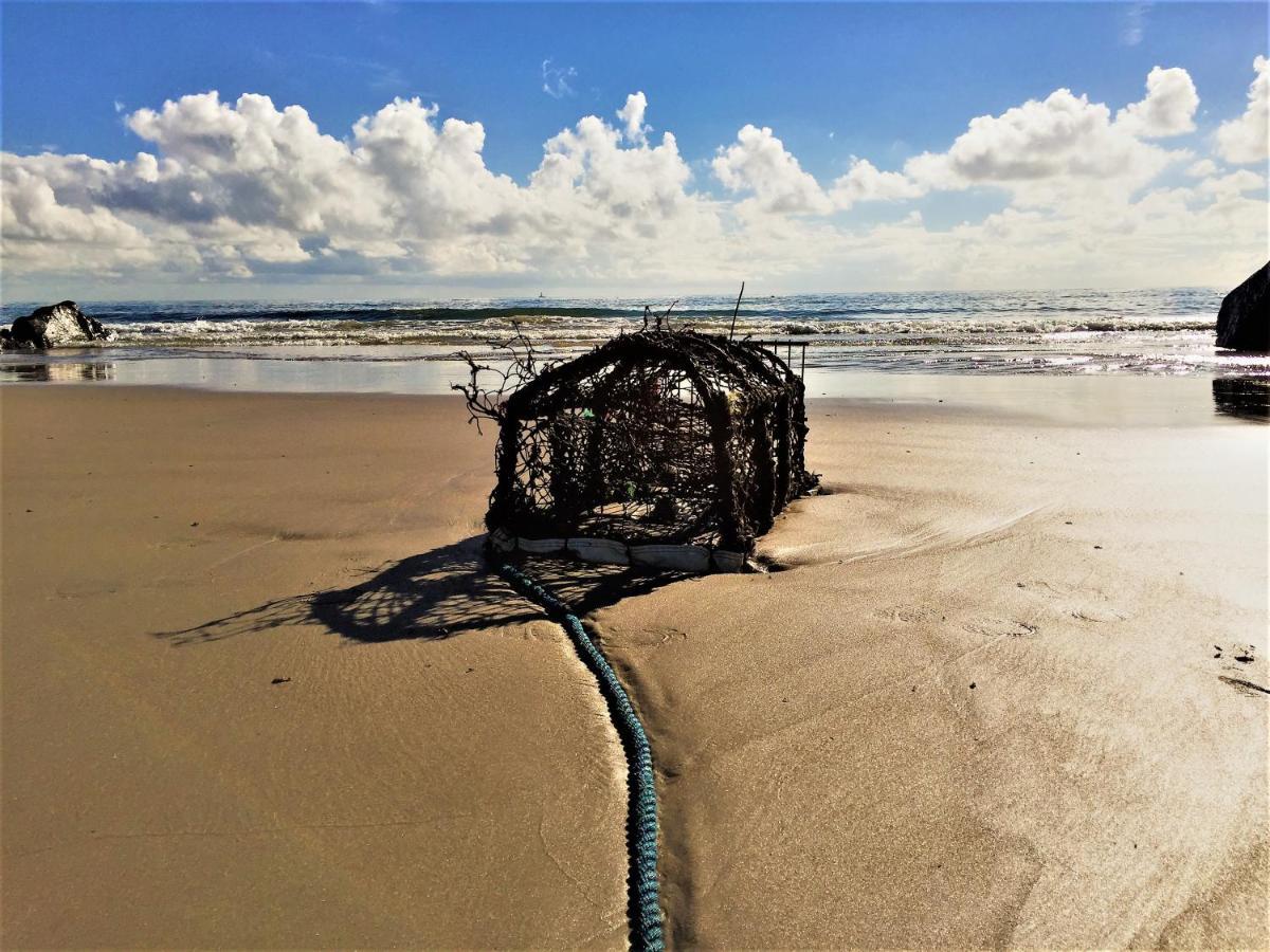 St Awaries Studio, Carne Rosslare Harbour Εξωτερικό φωτογραφία