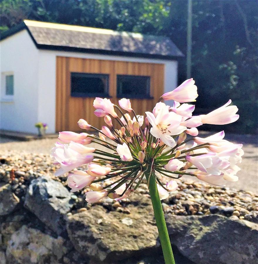 St Awaries Studio, Carne Rosslare Harbour Εξωτερικό φωτογραφία