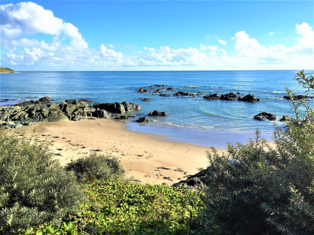 St Awaries Studio, Carne Rosslare Harbour Εξωτερικό φωτογραφία
